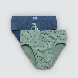 Lot de 2 slips enfant en coton imprimé Roar