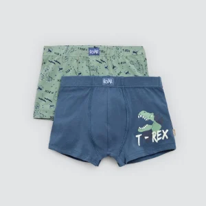 Lot de 2 boxers enfant en coton imprimé Roar